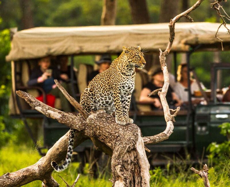 10-Day Kenya Adventure Safari