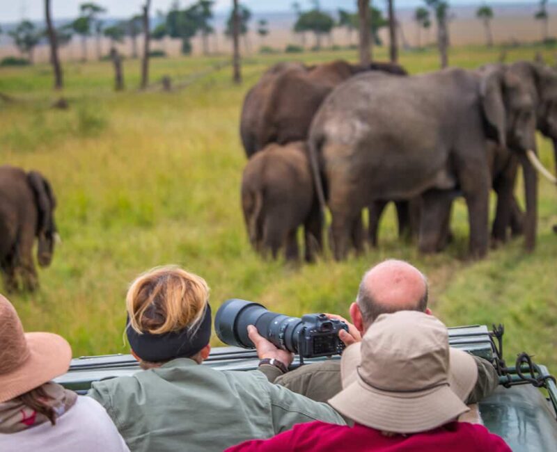 7-Day Kenya Wildlife Budget Safari