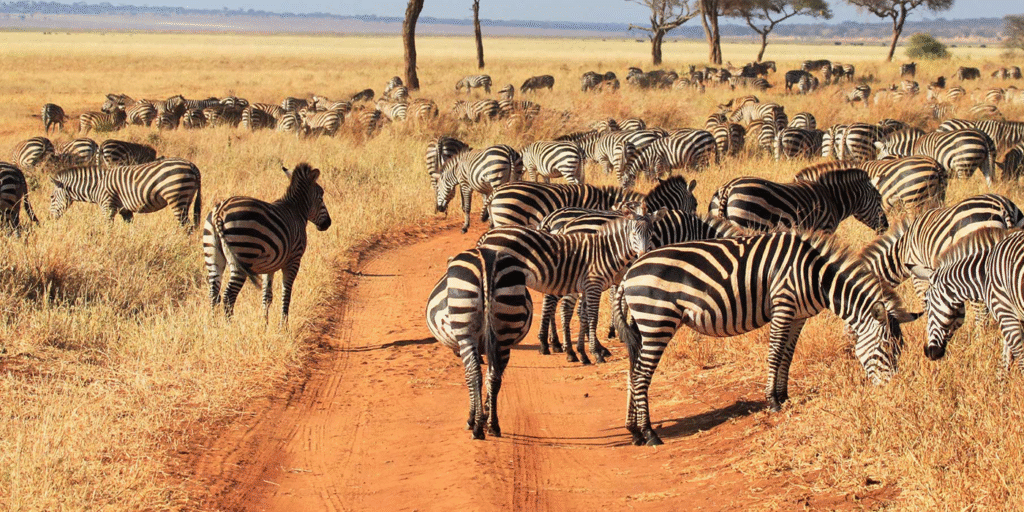 7-Day Kenya Wildlife Safari