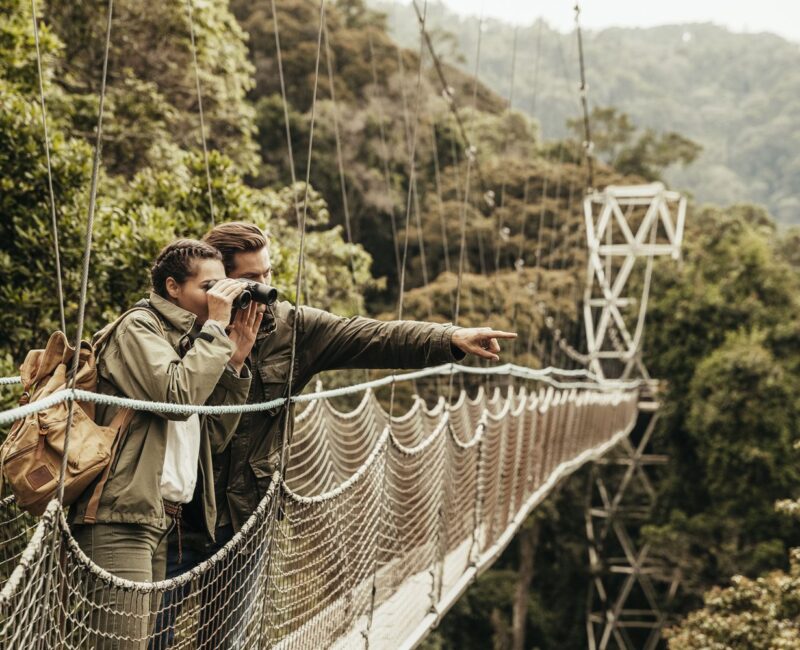 7 Days Highlights of Rwanda Safari