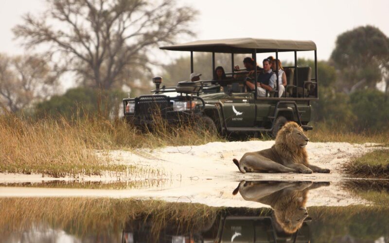 7 Days Uganda Game Drives & Gorilla Safari