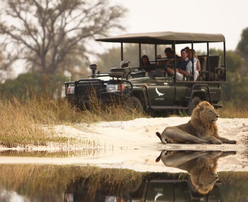7 Days Uganda Game Drives & Gorilla Safari
