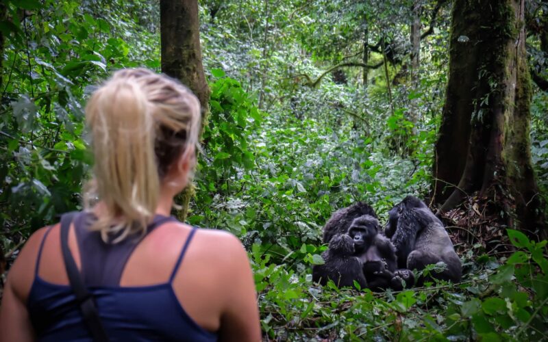 9-Day Rwanda Great Primate Expedition Safari 9-Day Rwanda Great Primate Expedition Safari