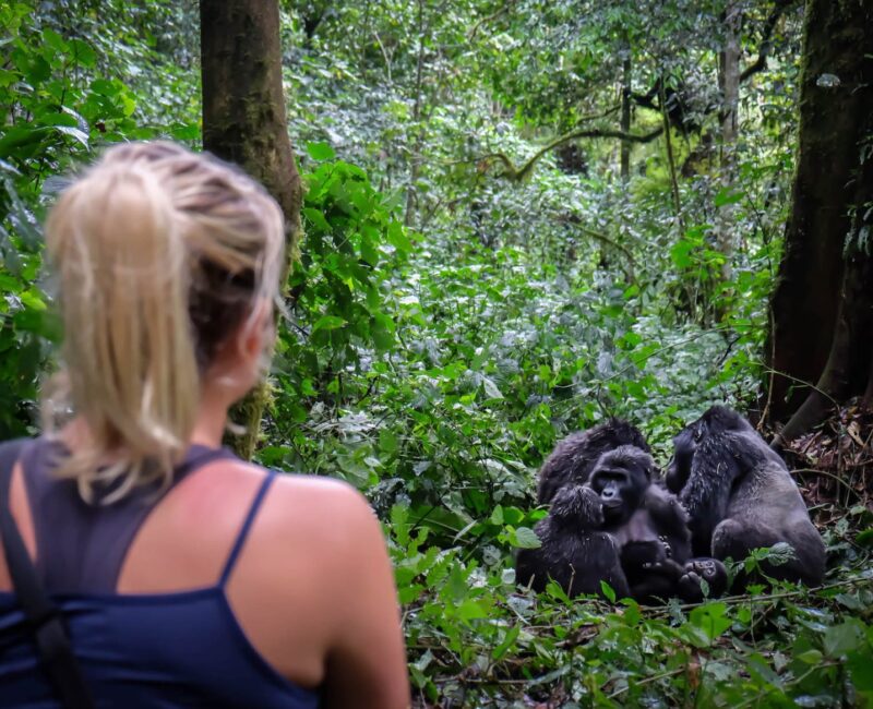 9-Day Rwanda Great Primate Expedition Safari
