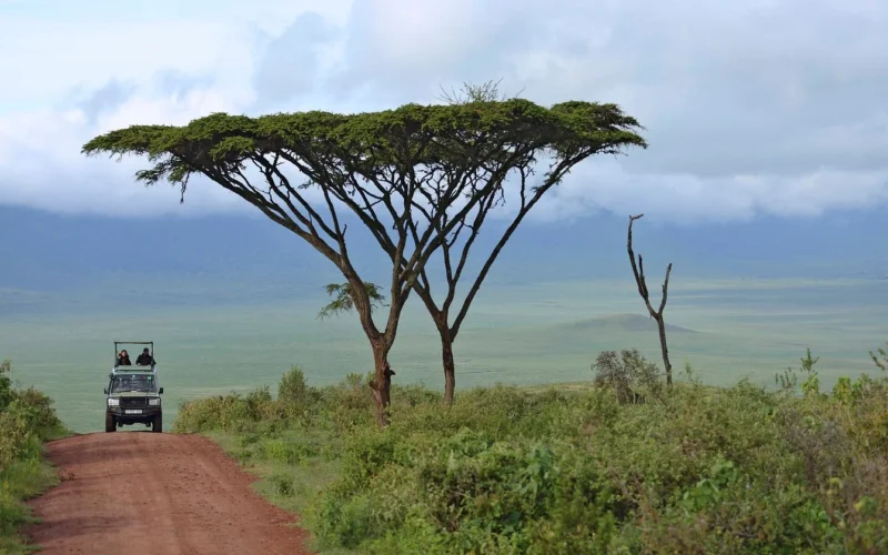 9-Day Unforgettable Kenya Game Drive Safari