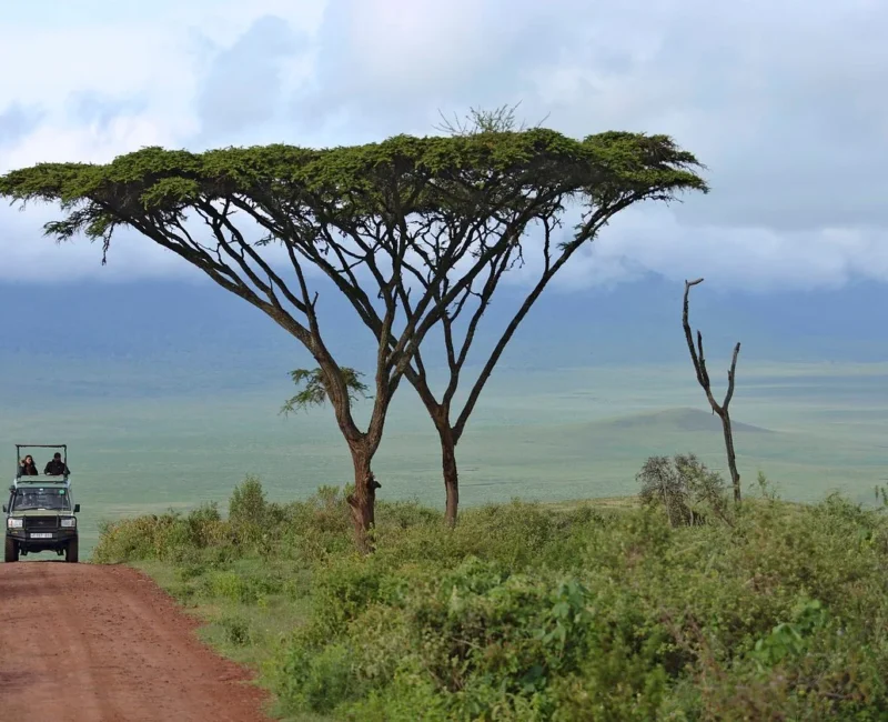 9-Day Unforgettable Kenya Game Drive Safari