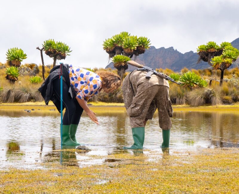 8 Days Amazing Uganda Safari Tour