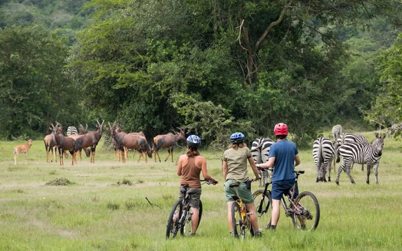 6 Days Uganda Adventure Tour