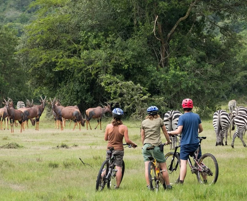 6 Days Uganda Adventure Tour