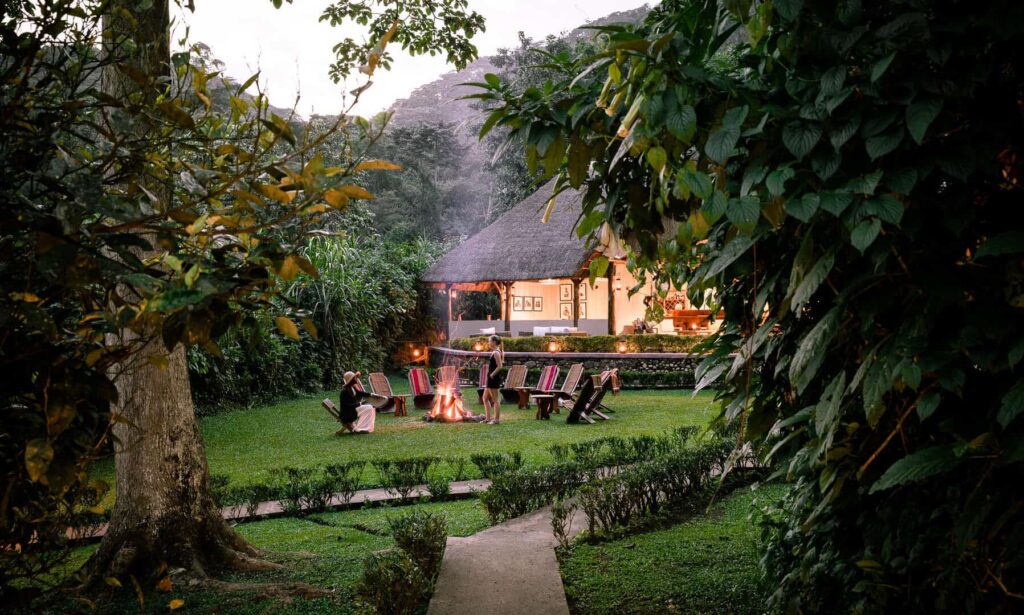 Gorilla Forest Lodge