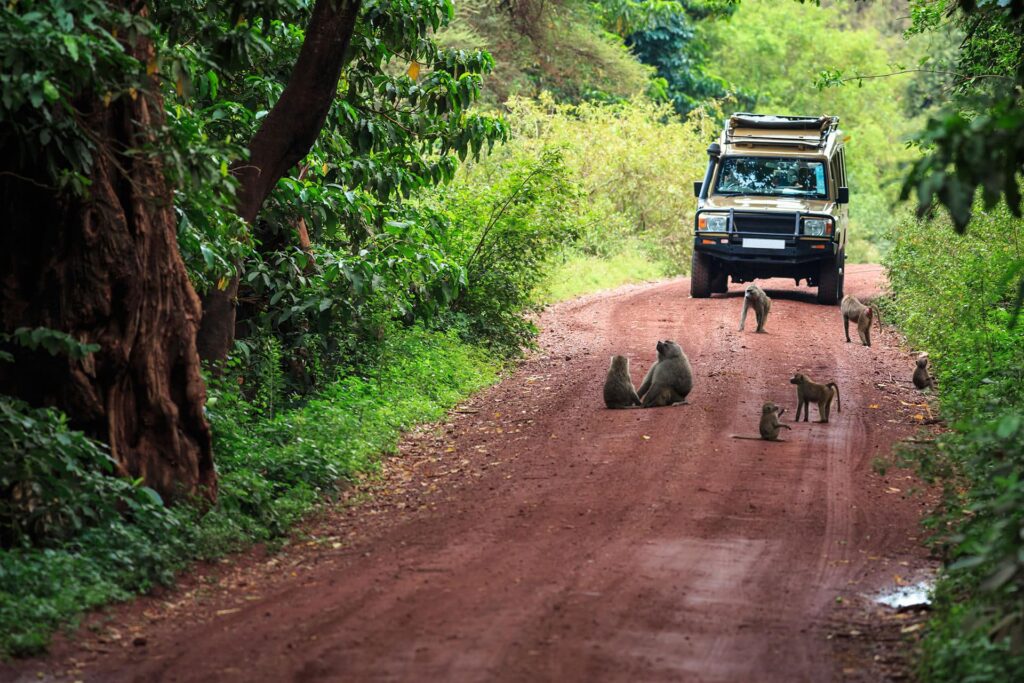 Lake Manyara National Park