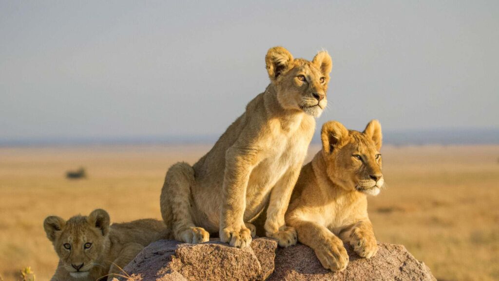 Serengeti National Park