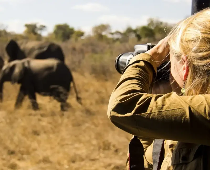 6-Day Majestic Tanzania Wildlife Luxury Safari