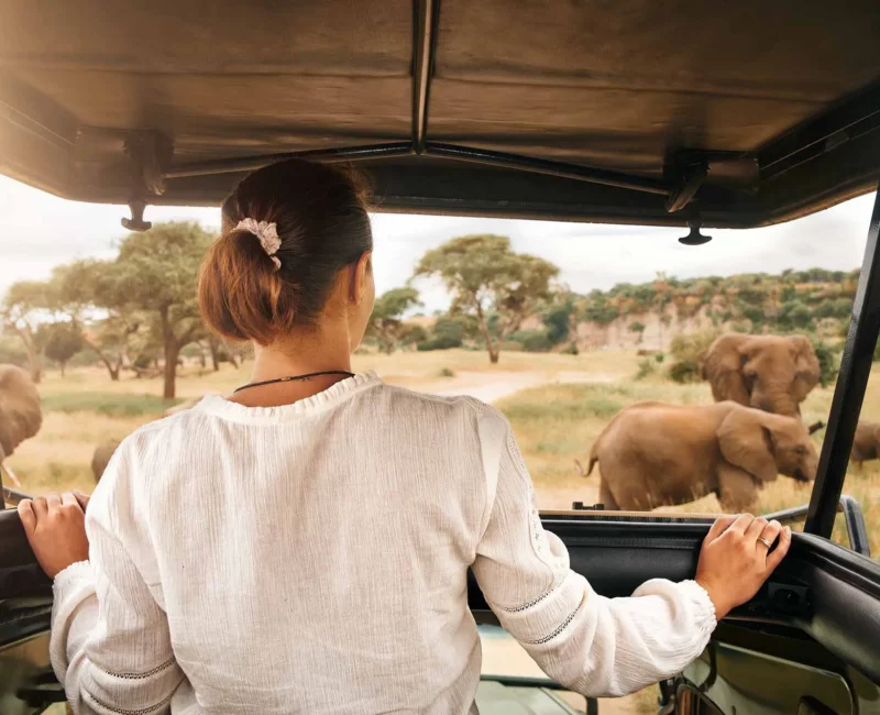 Africa Safaris