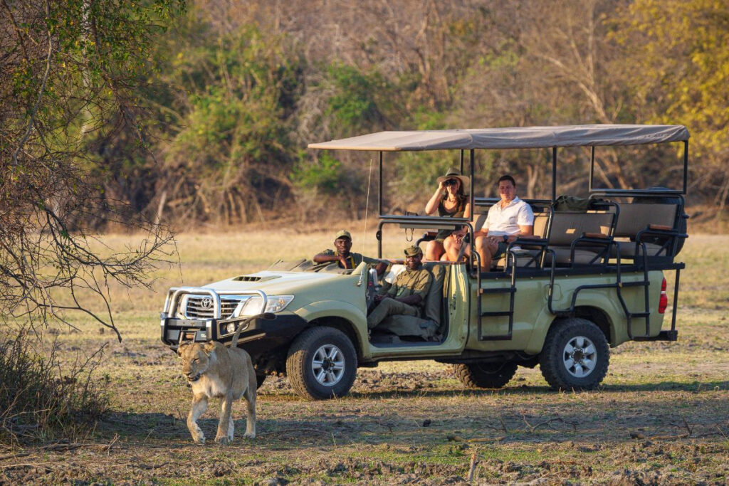 Big Five Experience