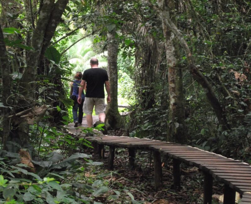 Kibale National Park