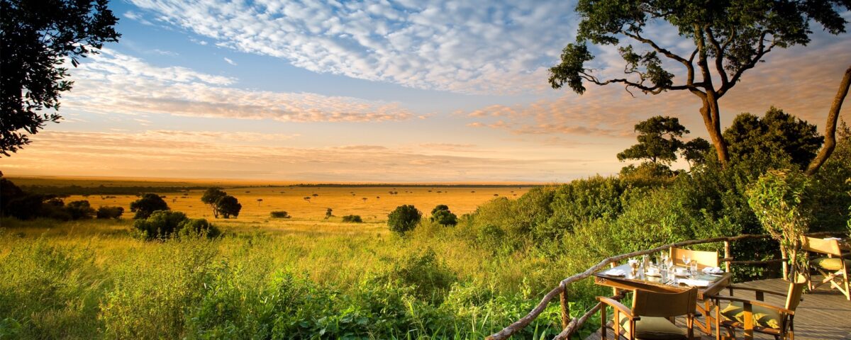 Which Month Is Best for Gorilla Trekking in Uganda?