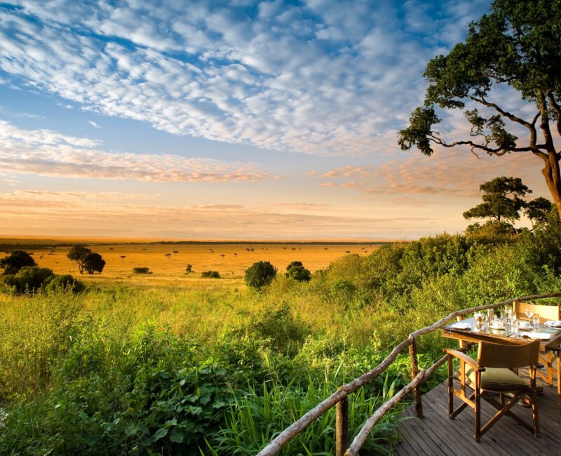 Which Month Is Best for Gorilla Trekking in Uganda?