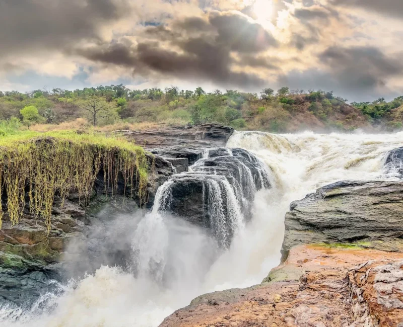 Murchison Falls National Park