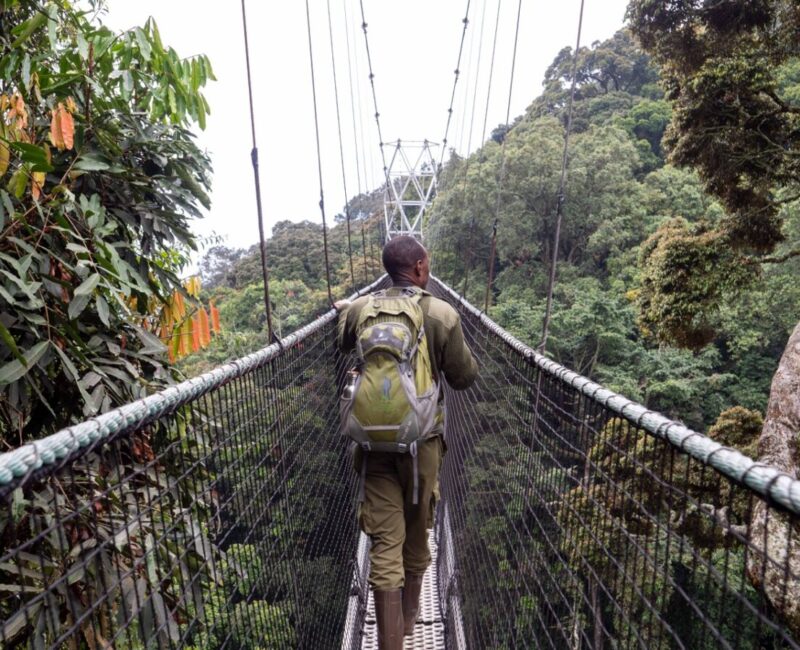 Nyungwe National Park