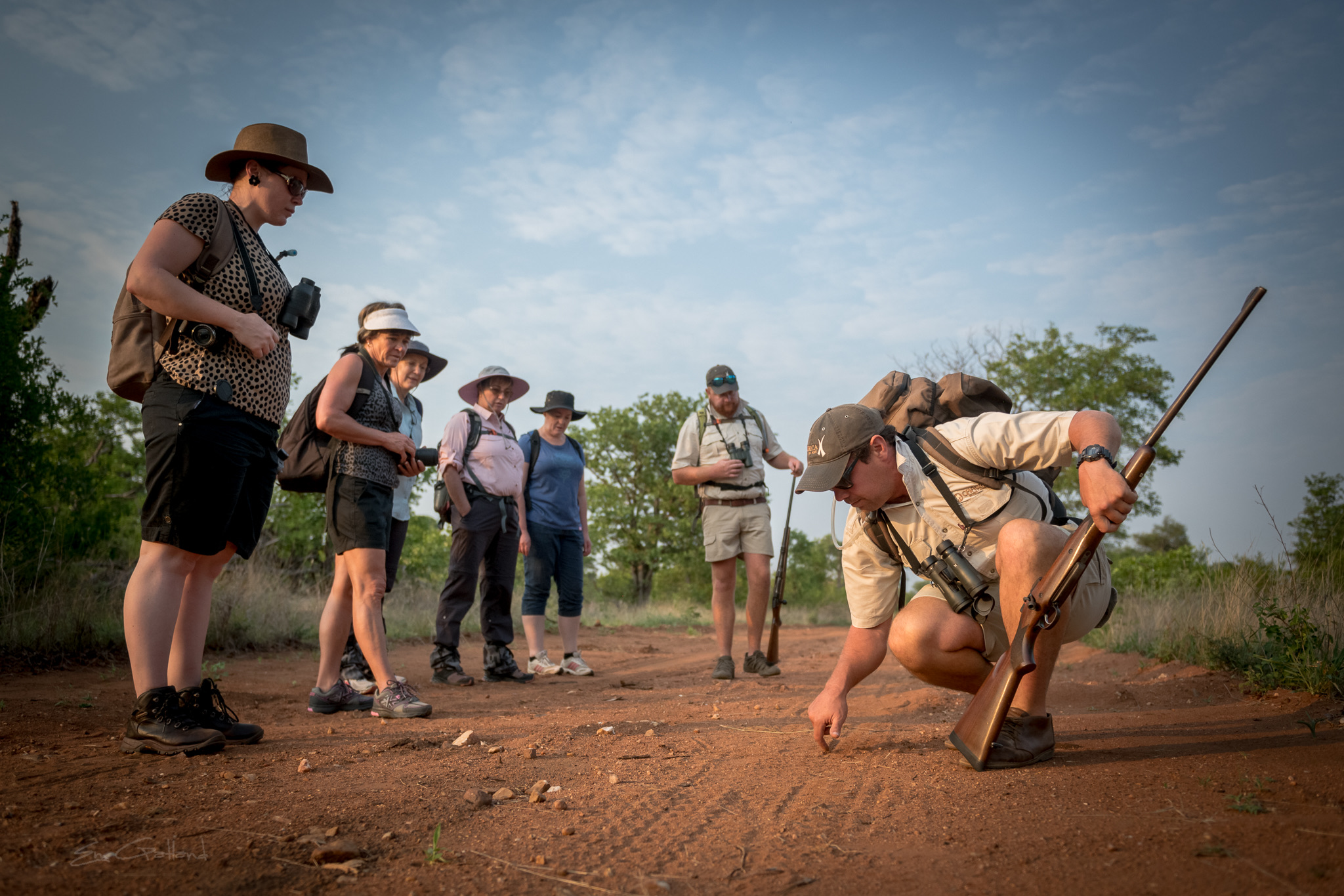 Take a Walk on the Wild Side