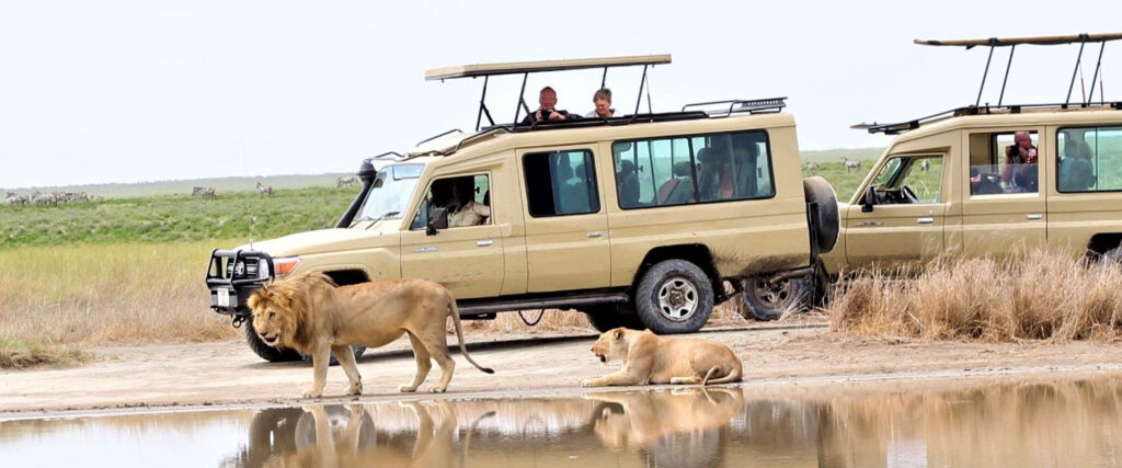 Tanzania Short Safaris