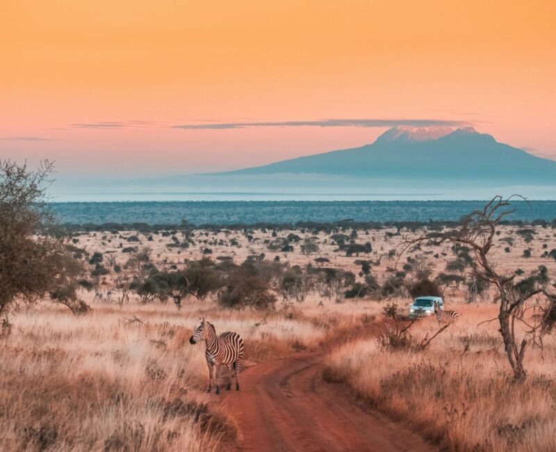 Tsavo National Park