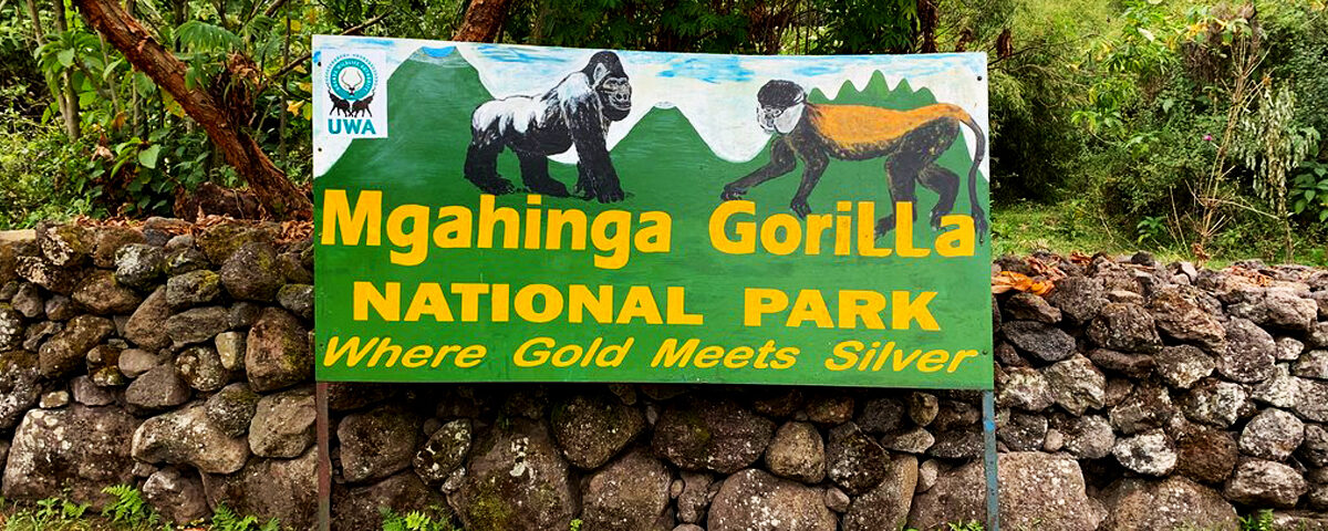 Mgahinga National Park Safari