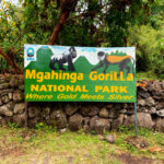 Mgahinga National Park Safari