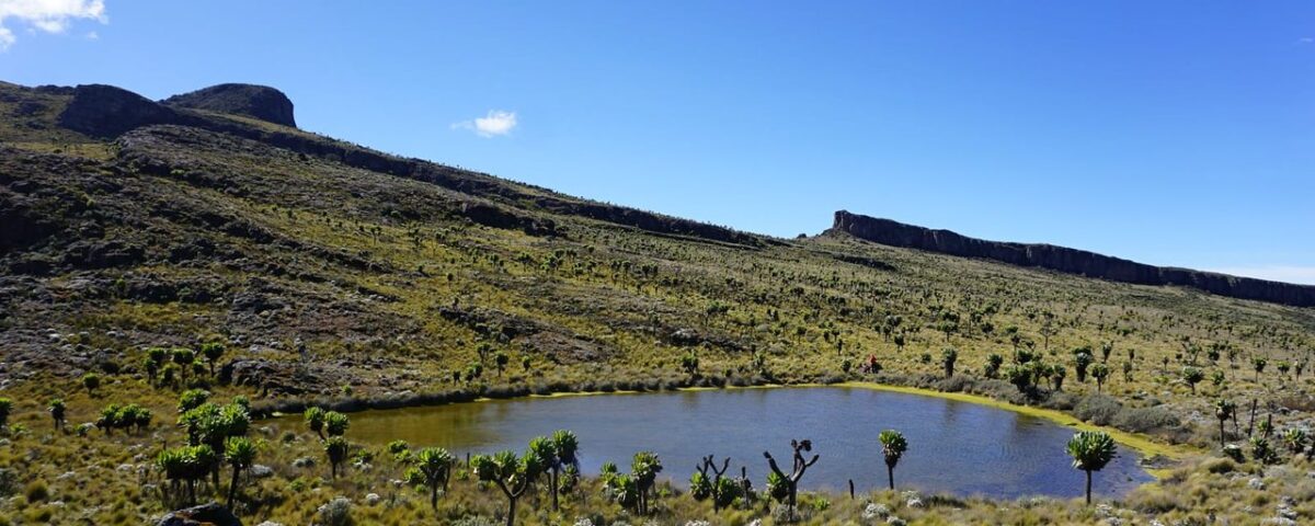Mount Elgon National Park