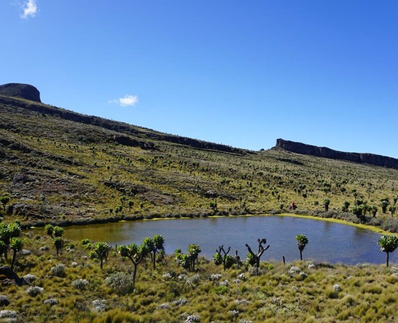 Mount Elgon National Park