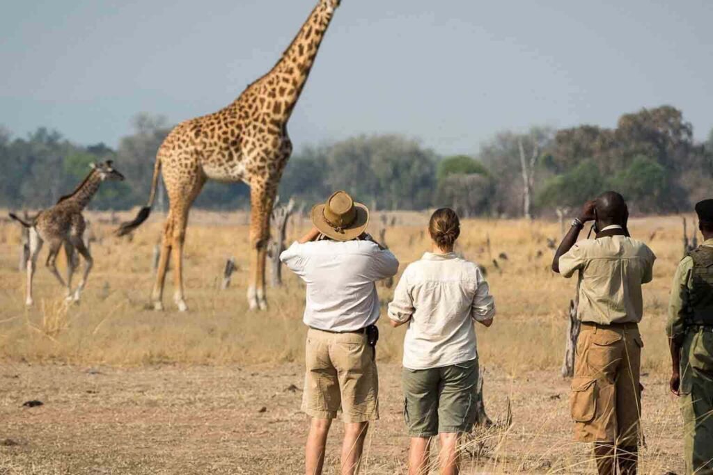 Arusha National Park