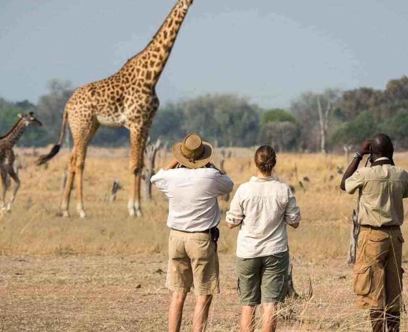 Arusha National Park