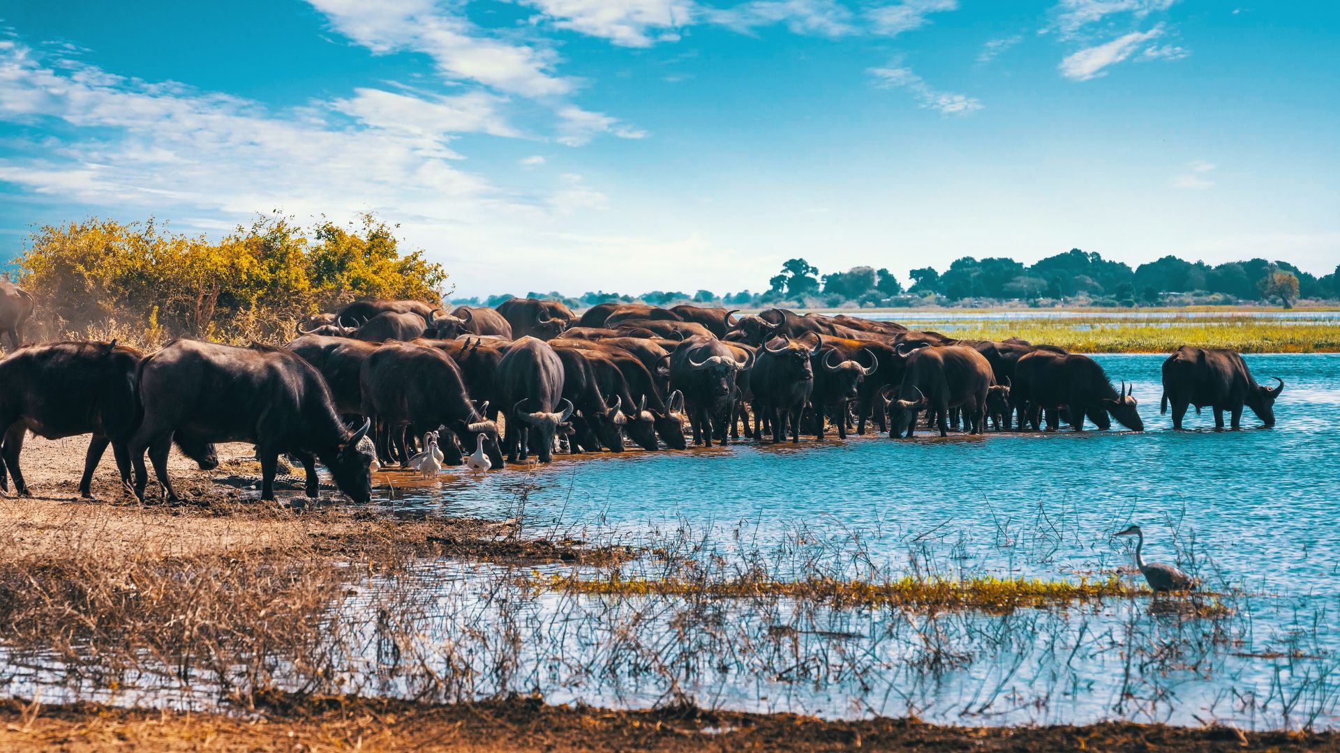 Lake Manyara National Park