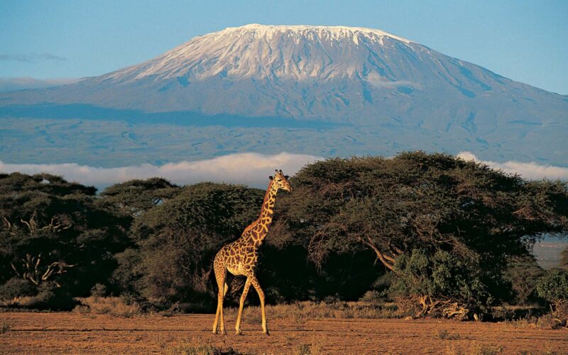 Mount Kilimanjaro National Park Mount Kilimanjaro National Park