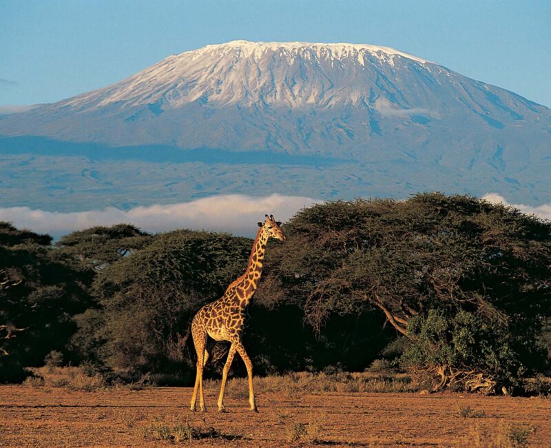 Mount Kilimanjaro National Park