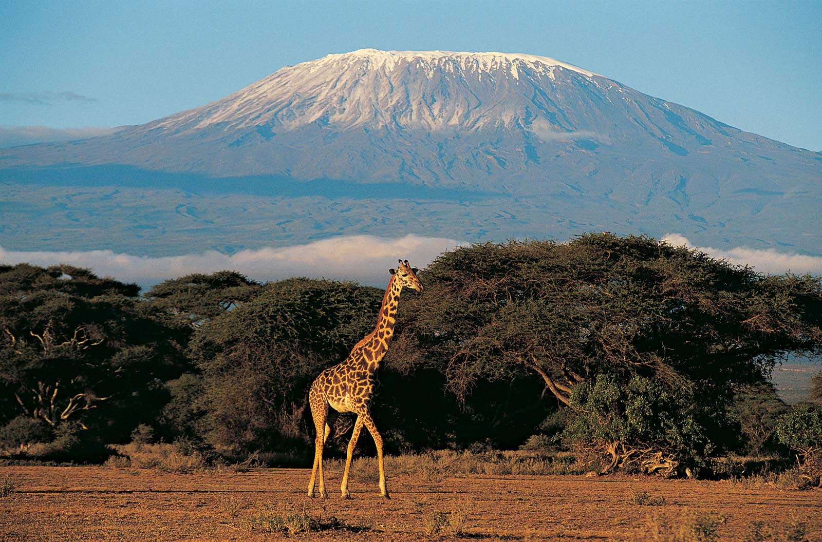 Mount Kilimanjaro National Park