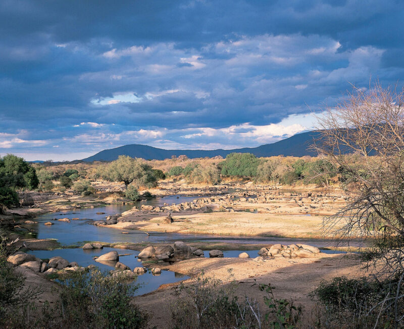 Ruaha National Park