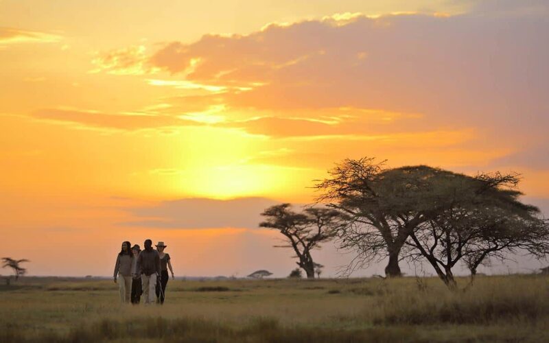 Serengeti National Park Serengeti National Park